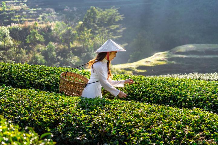 Victoria Beckham lên chức - Cảm hứng video marketing từ Hotspot Matrix