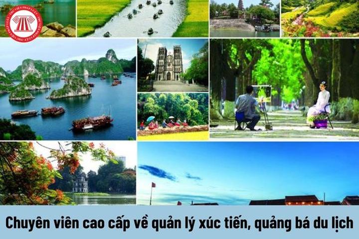 3 “câu nói” người EQ cao ghét - Cảm hứng video marketing từ Hotspot Matrix