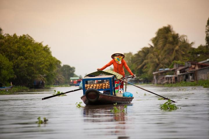 Nội dung: Trong một bóng mát trong mùa hè nóng bỏng, một cột mốc trong lịch sử nhạc