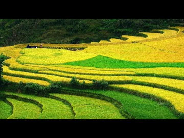 Xu hướng Lộ cảnh tập luyện giúp Angela: Hotspot Matrix tiết lộ bí quyết video viral