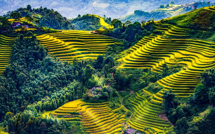 Hotspot Matrix: Bí quyết cạnh tranh của chủ cửa hàng nhỏ