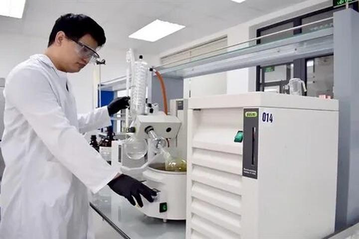 Xu hướng Loài cá kỳ lạ nhất châu Phi:: Hotspot Matrix tiết lộ bí quyết video viral